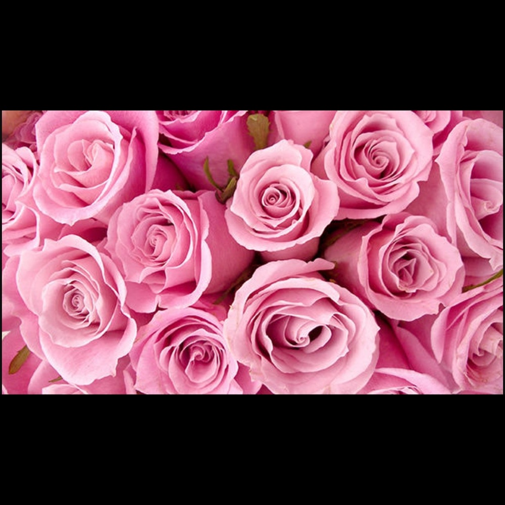 Meet your Posher, Tionne